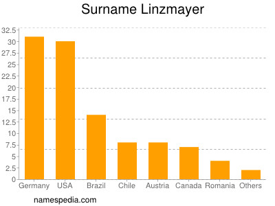 Surname Linzmayer