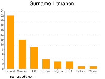 Familiennamen Litmanen