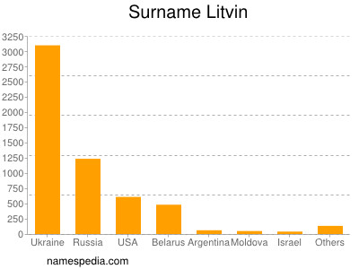 Surname Litvin