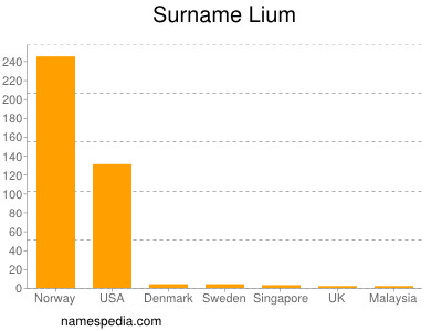 Familiennamen Lium