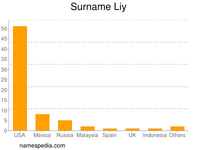 Familiennamen Liy