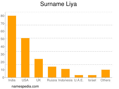 Familiennamen Liya