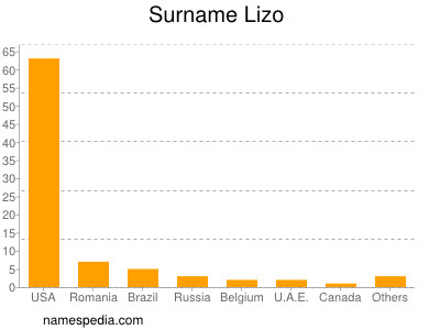 Surname Lizo