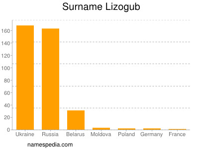 Familiennamen Lizogub