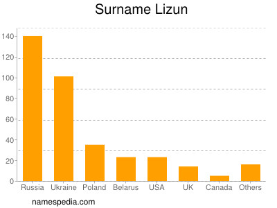 Familiennamen Lizun