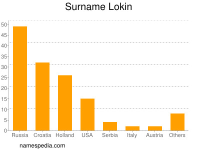 Surname Lokin