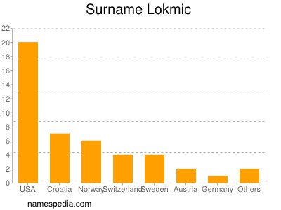 Surname Lokmic