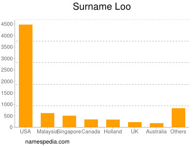 Familiennamen Loo