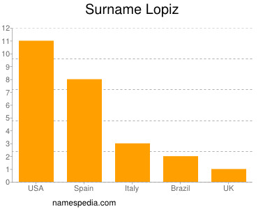Surname Lopiz