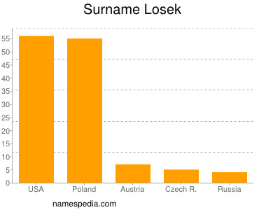 Surname Losek