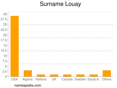 Surname Louay