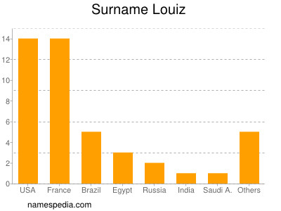 Surname Louiz