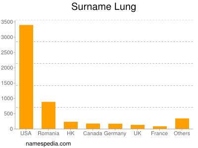 Familiennamen Lung