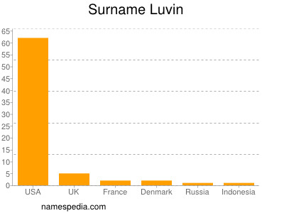 Familiennamen Luvin