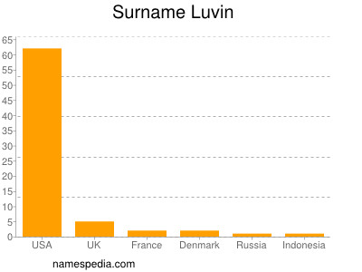 Surname Luvin