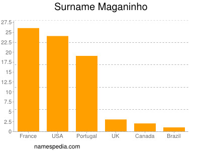 Surname Maganinho