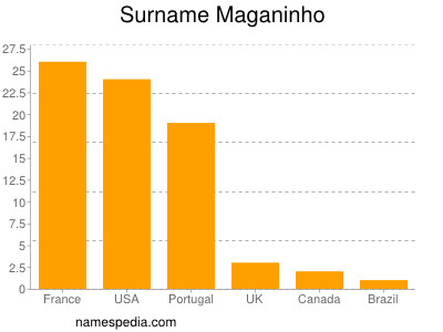 nom Maganinho