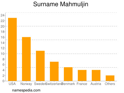 Familiennamen Mahmuljin