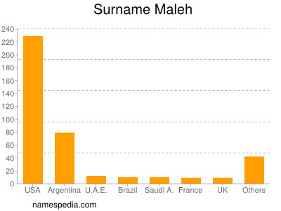 Familiennamen Maleh