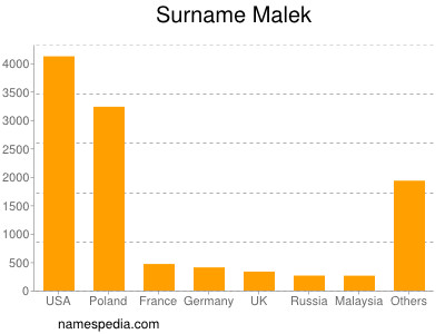 Familiennamen Malek