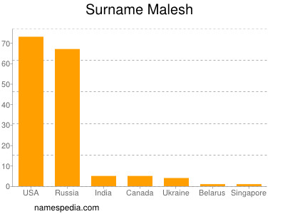 Familiennamen Malesh