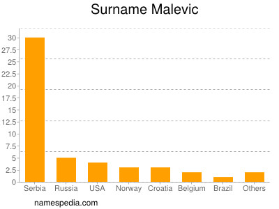 Familiennamen Malevic