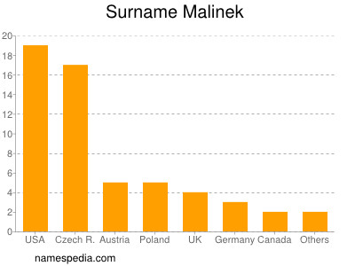 Familiennamen Malinek