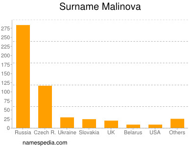 Familiennamen Malinova