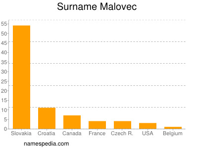 Familiennamen Malovec