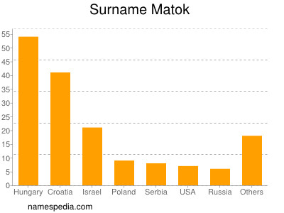 Surname Matok