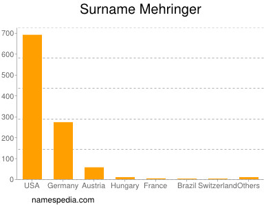 Surname Mehringer