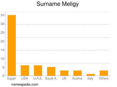 Familiennamen Meligy