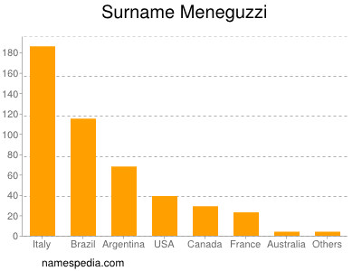 Familiennamen Meneguzzi