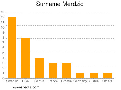 Surname Merdzic