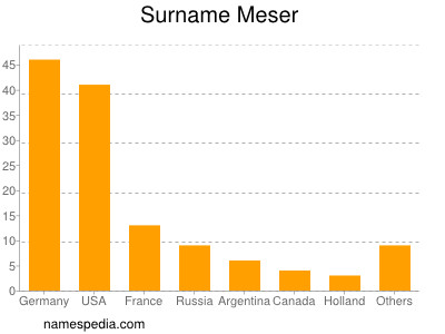 Surname Meser