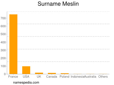 Surname Meslin