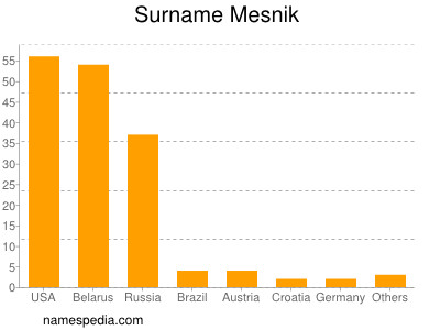 Familiennamen Mesnik