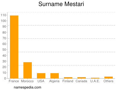 Familiennamen Mestari