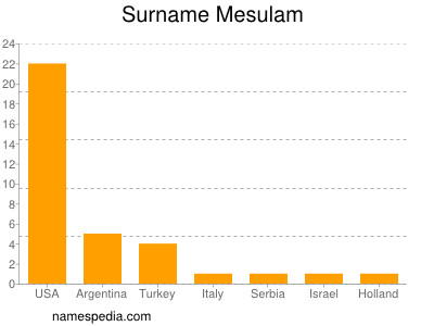 Familiennamen Mesulam