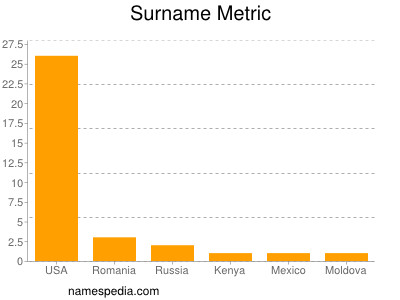 Familiennamen Metric