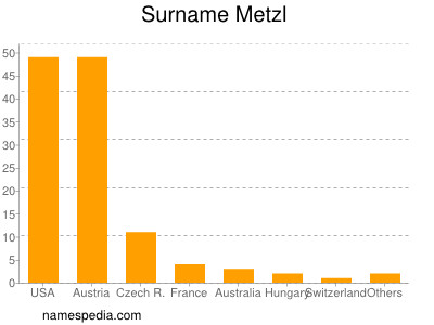 Surname Metzl