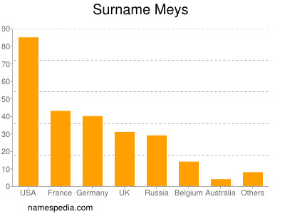 Surname Meys