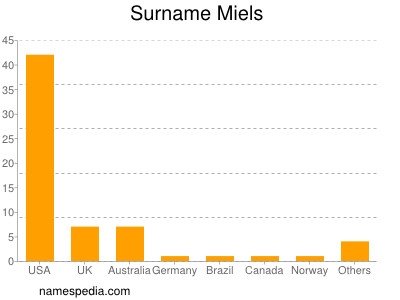 Familiennamen Miels