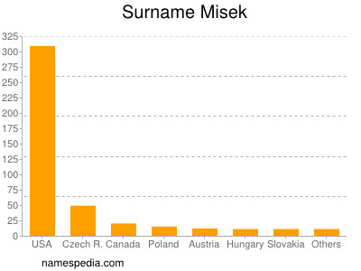 Surname Misek
