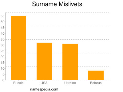 Familiennamen Mislivets