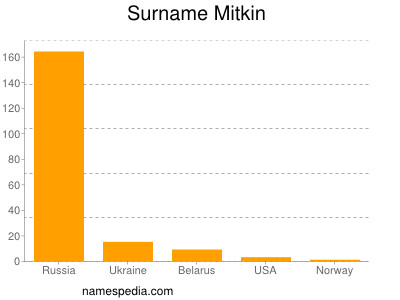 Surname Mitkin