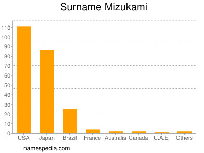 Surname Mizukami
