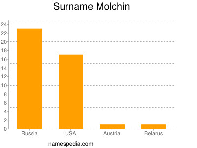 Familiennamen Molchin