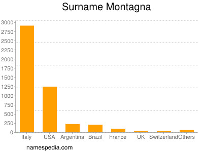 Surname Montagna