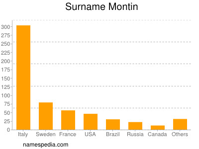 Surname Montin